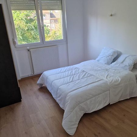 Location Appartement 80M2 A Rombas Extérieur photo